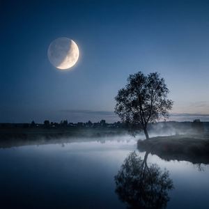 Я покинул родимый дом