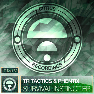 Survival Instinct (Original Mix)