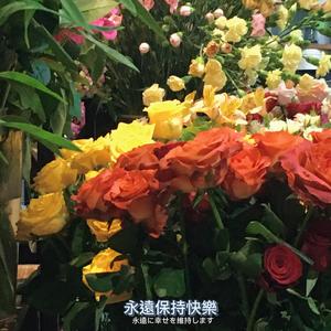 亲亲