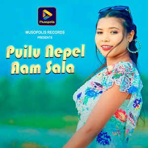 Puilu Nepel Aam Sala