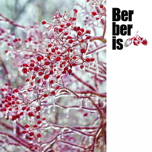 Abstra (Original Mix)