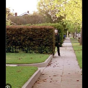 I see you (burnymadeit)