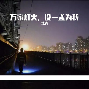 万家灯火，没一盏为我