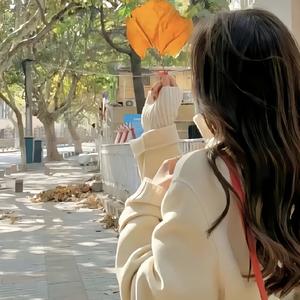 牧歌一曲献给党（电子琴版）