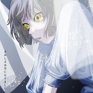 さみしさは月になりました