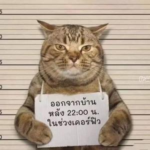 我只想我该回家