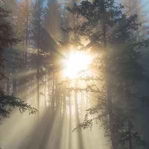 词穷-云开见日（词穷 remix）