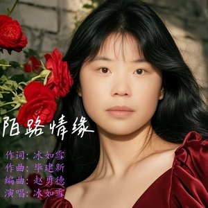 陌路情缘   如雪