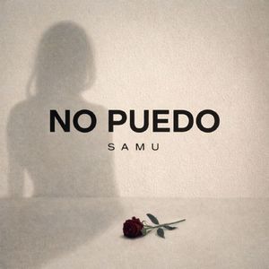 NO PUEDO