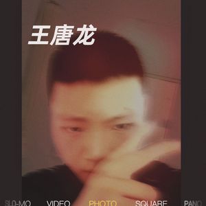 王 唐 龙
