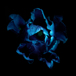 the color of the sky