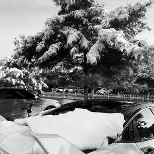 凛冬将至（非本人演唱版 remix）