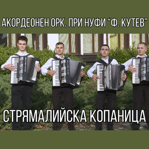 Стрямалийска копаница