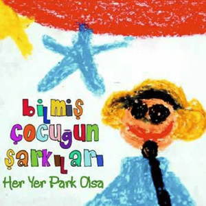 Bomba Yapan Bay Bilgin