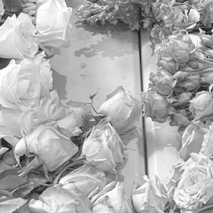 Not a Love Song (feat. lil Ø, nova & Yxng Coola) (Remix)