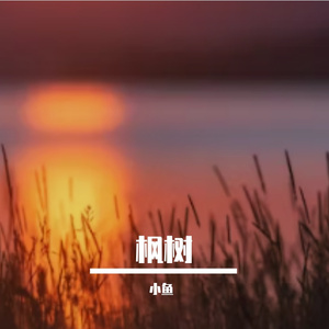 枫树