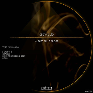 Combustion ([ Wex 10 ] Remix)