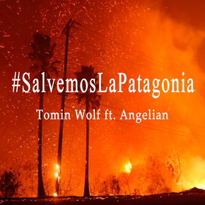 Salvemos la Patagonia