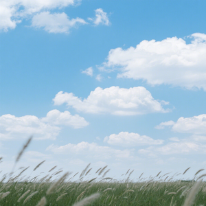明月清风伴我眠