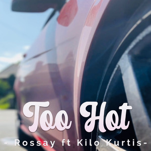Too Hot to Stress