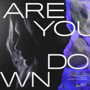 Are You Down (Consilium Remix)
