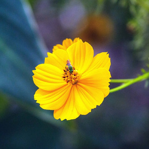 나의 공의의 하나님