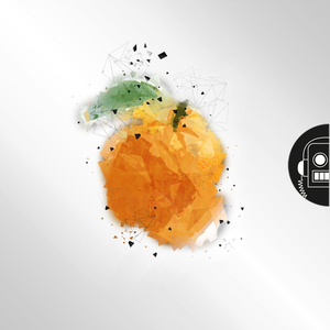 Polarized (Original Mix)