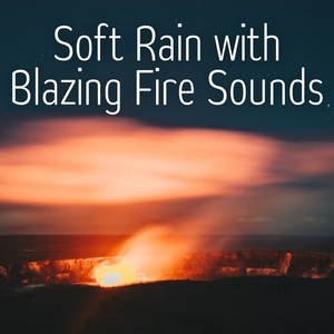 Free From Fear
