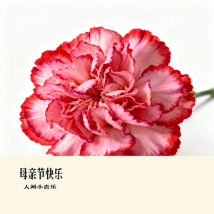 母亲节快乐