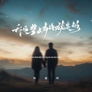 我这辈子有你就足够 (伴奏)