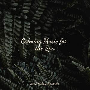 Chronoscape Symphony