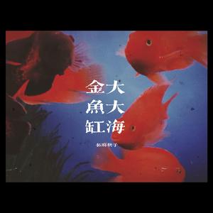 金鱼缸的大大海