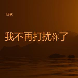 我不再打扰你了