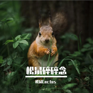 【诗岸】若能再一次选择