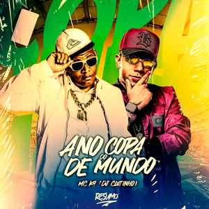 Ano de Copa do Mundo