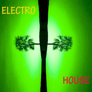 Electro House