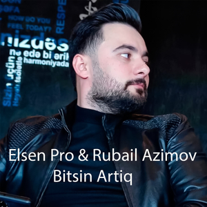 Bitsin Artiq