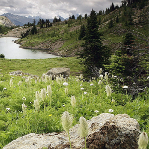 无法挽回的遗憾