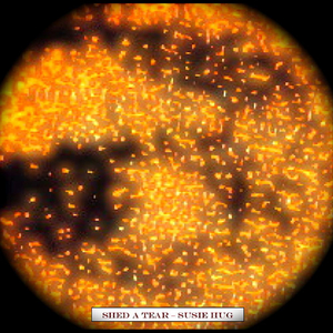 Shed A Tear w/ Prison of Your Heart Instrumental Bonus Track