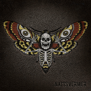 Nattsvermer