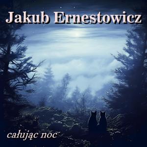 Całując noc