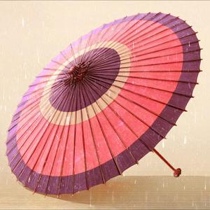 琴が語る夕暮れ