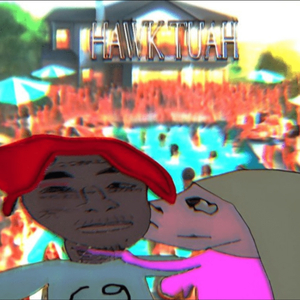 Hawk Tuah