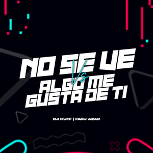 No Se Ve Vs Algo Me Gusta De Ti (Remix)