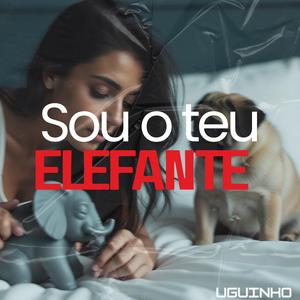 Sou o teu Elefante