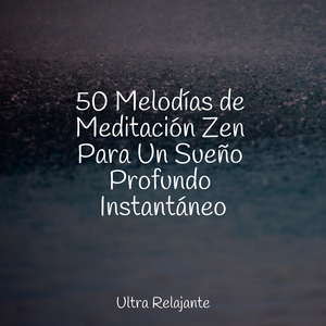 Olas Cantantes