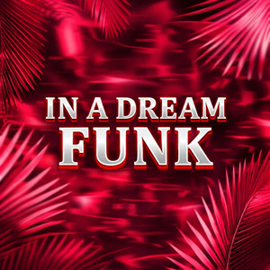 In a Dream FUNK