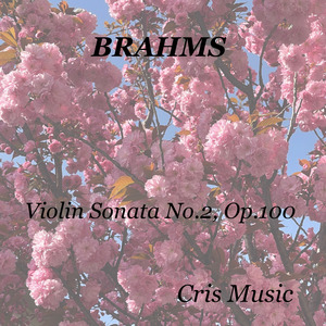 Brahms: Violin Sonata No.2, Op.100, 3. Allegro grazioso (quasi Andante)