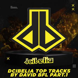 Hardbass Night (Dcibelia Edition) (Radio Edit)