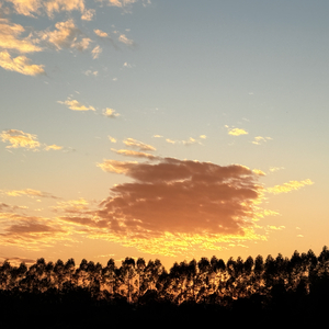 这场雨下得不明不白